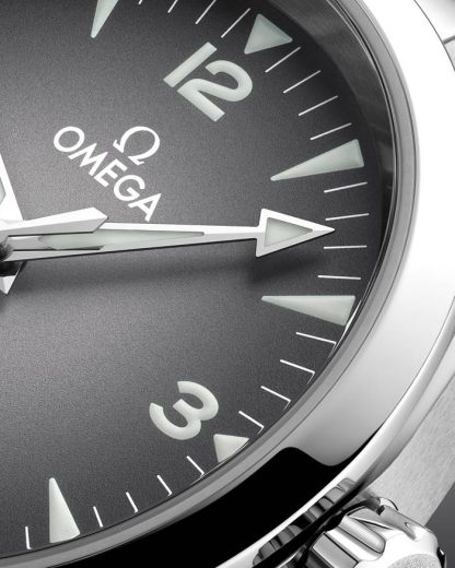Omega Nieuw Seamaster Railmaster 38 mm, staal met staal 235.10.38.20.06.001 - Afbeelding 5